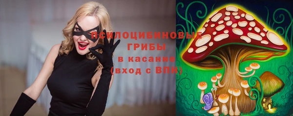 ECSTASY Беломорск