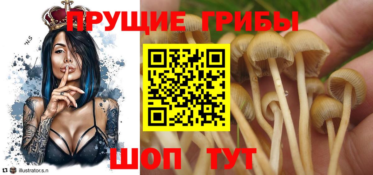Псилоцибиновые грибы MAGIC MUSHROOMS  Вход с VPN  дарнет шоп  Бутурлиновка 